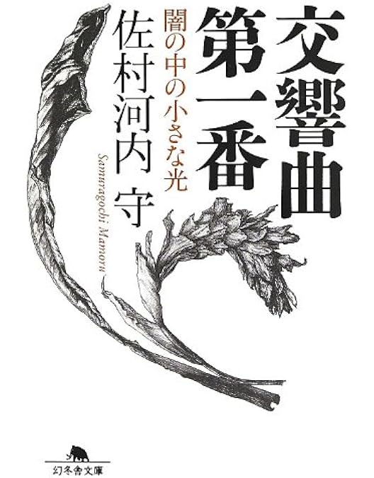 Amazon.co.jp: 佐村河内守:魂の旋律~HIROSHIMA×レクイエム [DVD